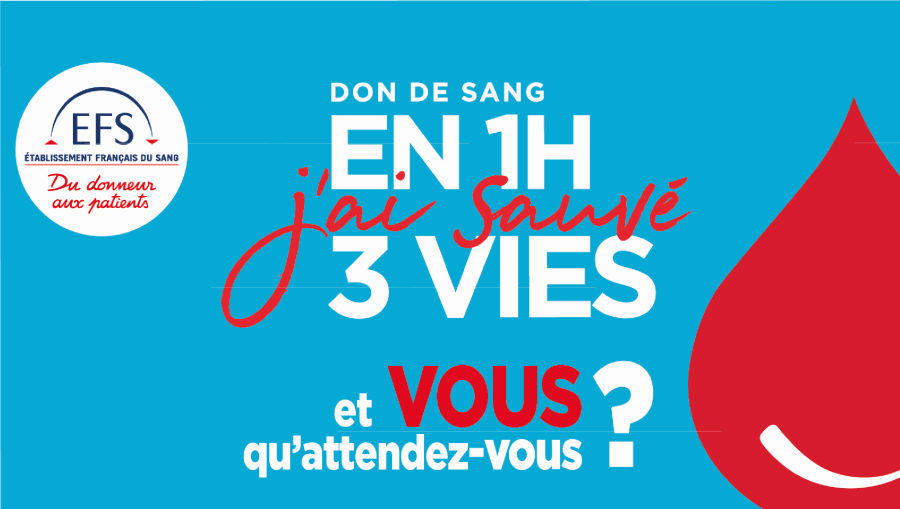 Donc_du_sang_Plan_de_travail_1